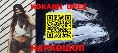 крисы Славгород