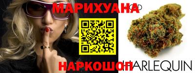 крисы Славгород