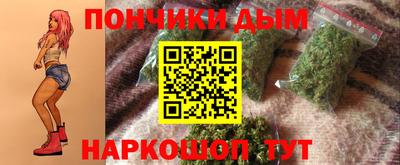 крисы Славгород