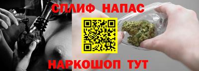 трава Сланцы