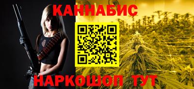 крисы Славгород