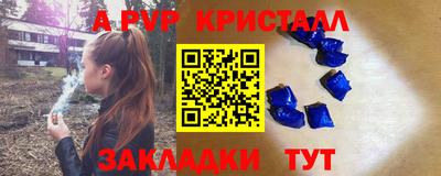 крисы Славгород