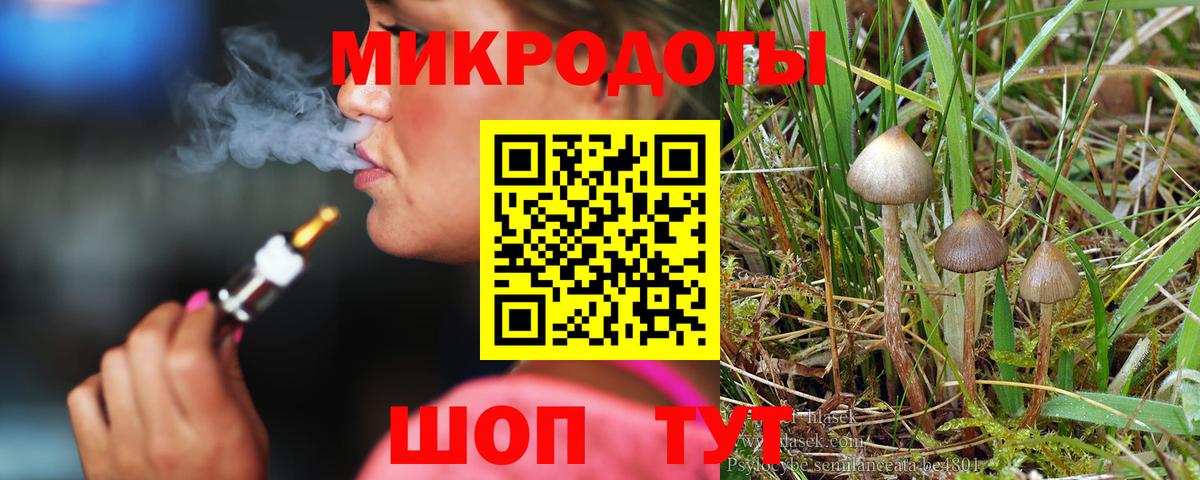 Псилоцибиновые грибы Psilocybine cubensis Новочебоксарск