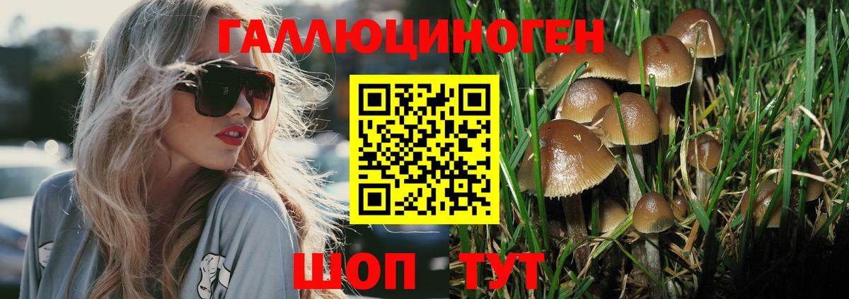 Псилоцибиновые грибы прущие грибы  Псилоцибиновые грибы Psilocybine cubensis  Вход с VPN  Новочебоксарск 